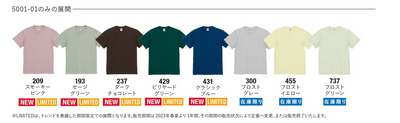 【インクジェット】5.6oz ハイクオリティ Tシャツ アダルト (UA-5001)