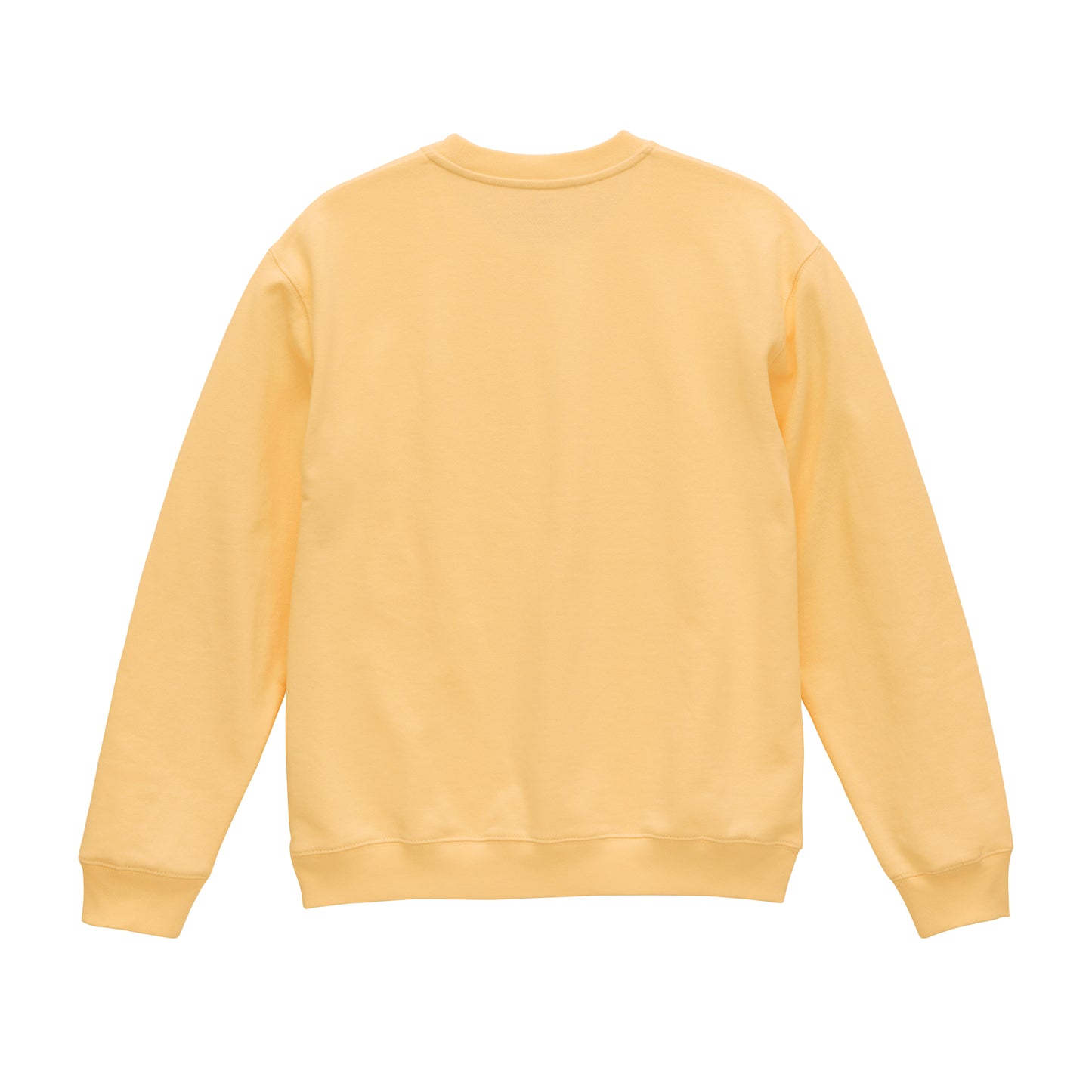 8.8oz オーセンティック パイル クルーネック スウェット 裏パイル (UA-539901)