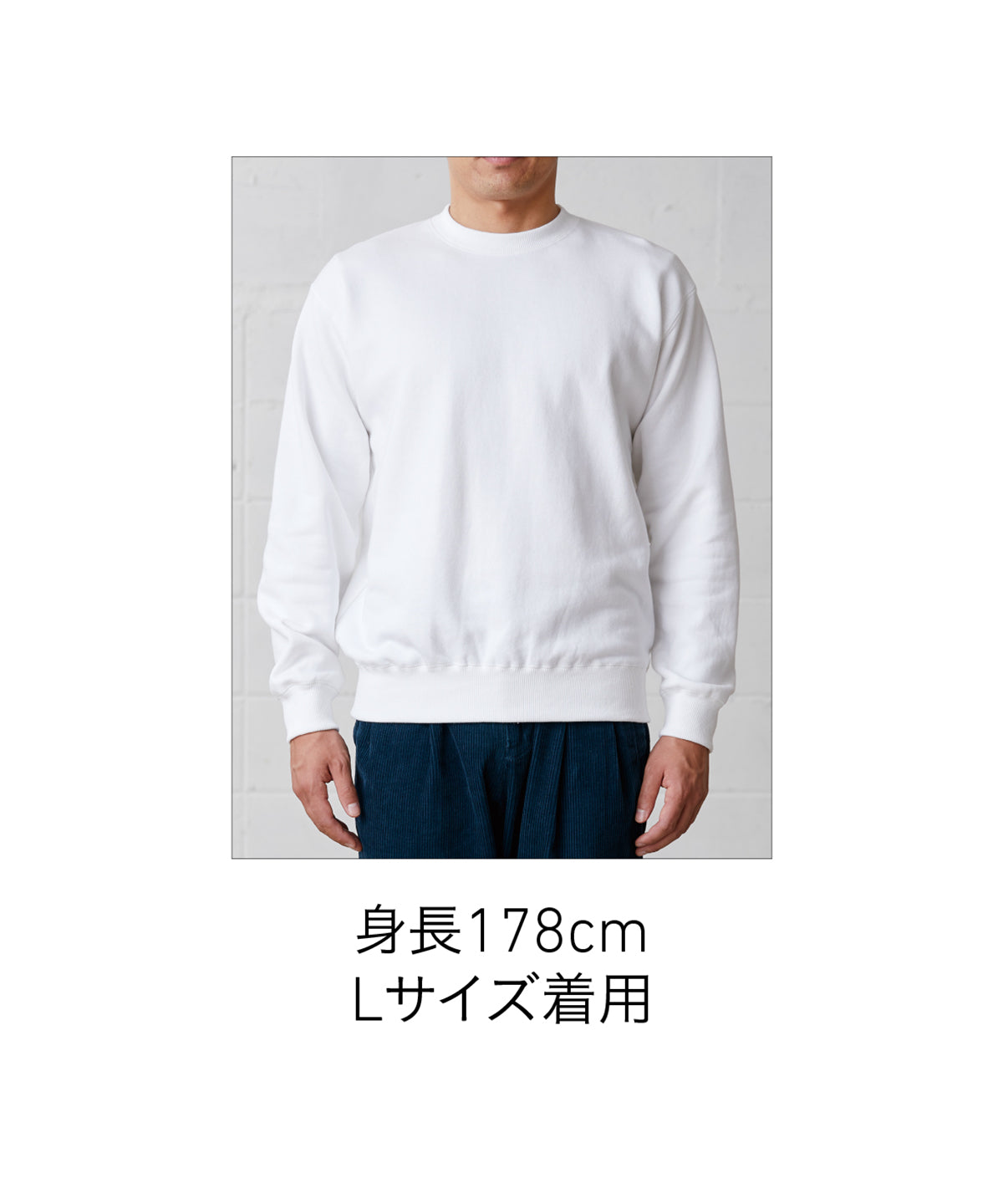 10.0oz レギュラーウェイト スウェットシャツ(裏パイル) (CAS-SW2210)