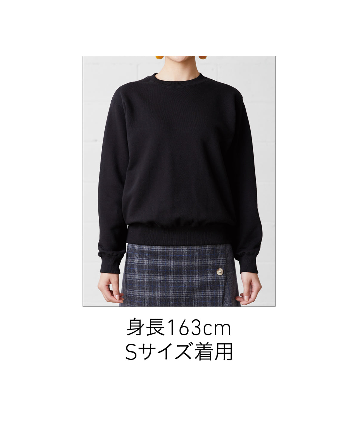10.0oz レギュラーウェイト スウェットシャツ(裏パイル) (CAS-SW2210)