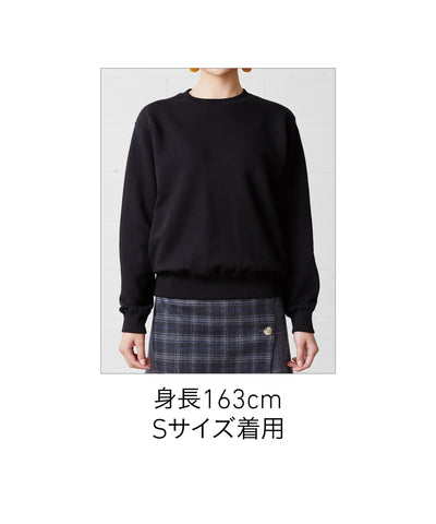 10.0oz Regular Weight Sweatshirt (Tile Lining) (CAS-SW2210)
