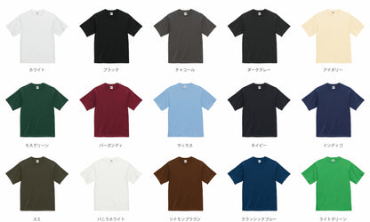 6.5oz ファインジャージー Tシャツ (UA-110001)