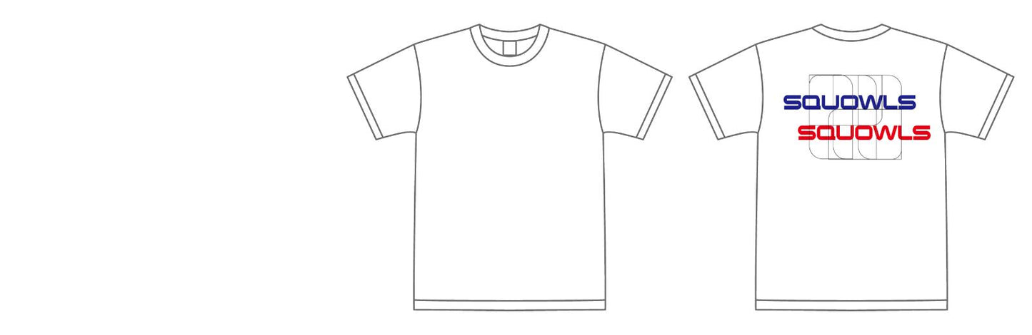 【スクリーンプリント】6.2oz プレミアム Tシャツ (UA-594201)
