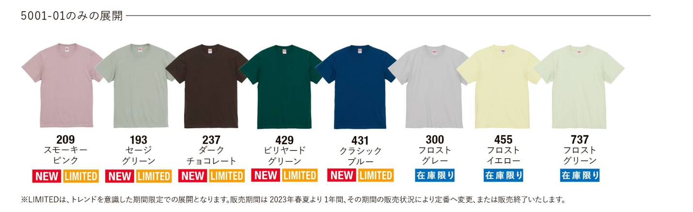 【スクリーンプリント】5.6oz ハイクオリティ Tシャツ アダルト (UA-5001)