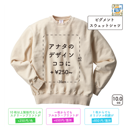 10.0oz ピグメントスウェットシャツ (CAS-PGS149)