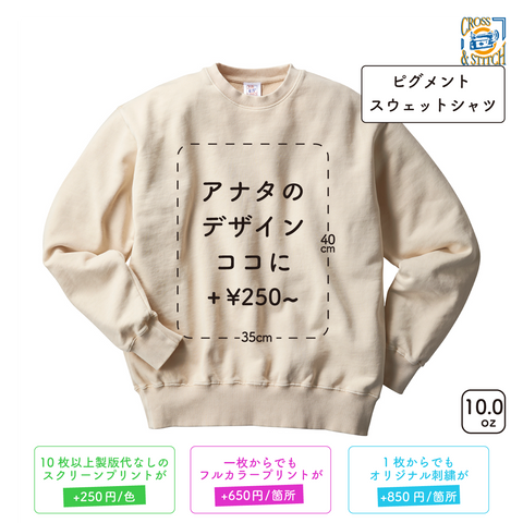 10.0oz ピグメントスウェットシャツ (CAS-PGS149)