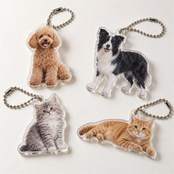 作例 ペットの写真
